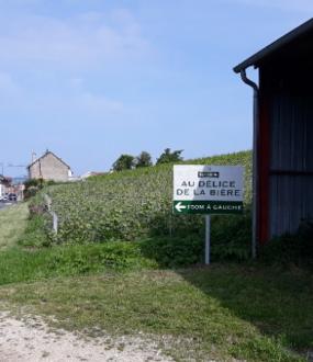 Délice de la bière