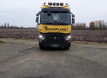 Transfland